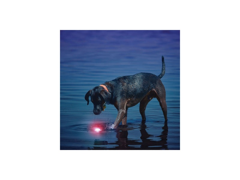 Load image into Gallery viewer, Nite Ize Glowing Dog Ball - RED
