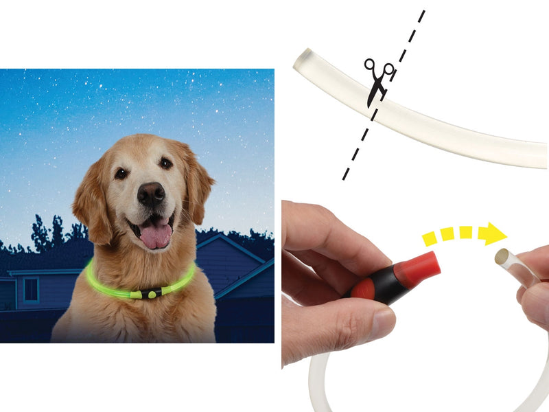 Load image into Gallery viewer, Nite Ize Luminous Dog Collar/Necklace
