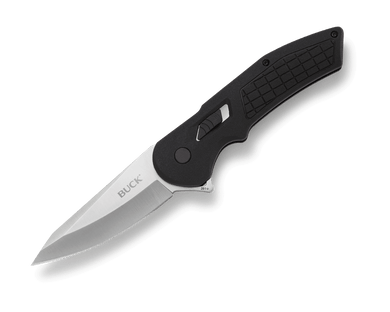 Folding knife Buck Hexam 261BKS Black