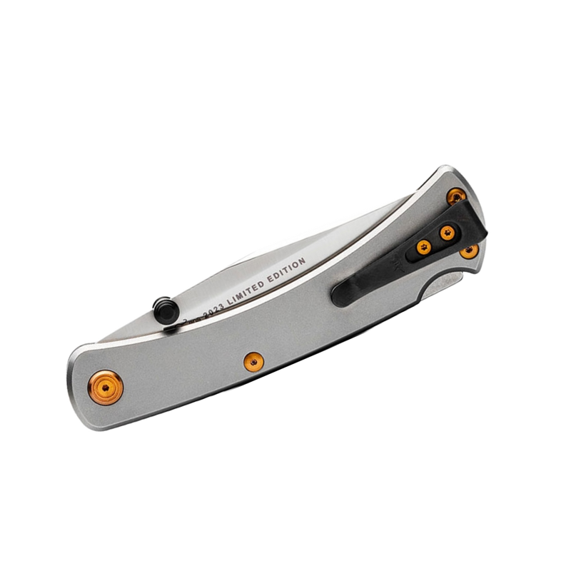 Load image into Gallery viewer, Buck FOLDING HUNTER TITANIUM SLIM PRO TRX 110GYSLE1 Limited Edition
