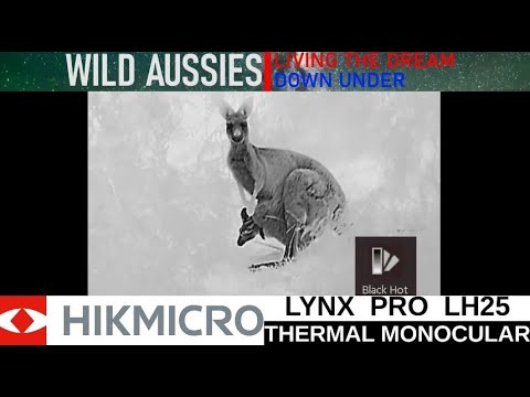 Laadige ja esitage video galeriivaaturis, Hikvision Hikmicro Lynx Pro LH25 termokaamera
