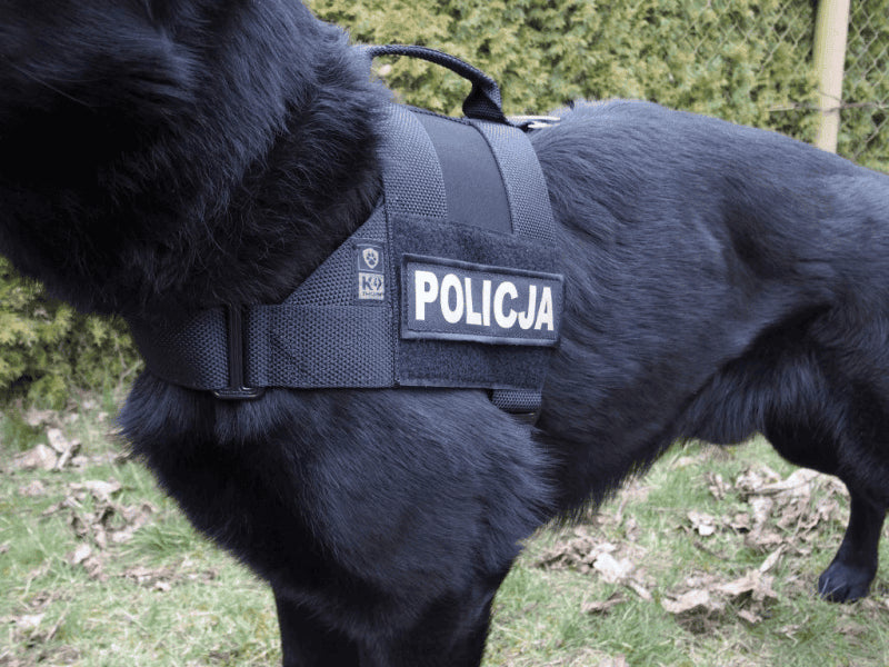 Laadige pilt galerii vaatajasse, K9 THORN Alpha rakmed
