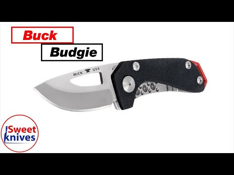 Laadige ja esitage video galeriivaaturis, Volditav nuga Buck Budgie Black G-10 417BKS
